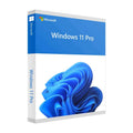 Windows 11 Professional